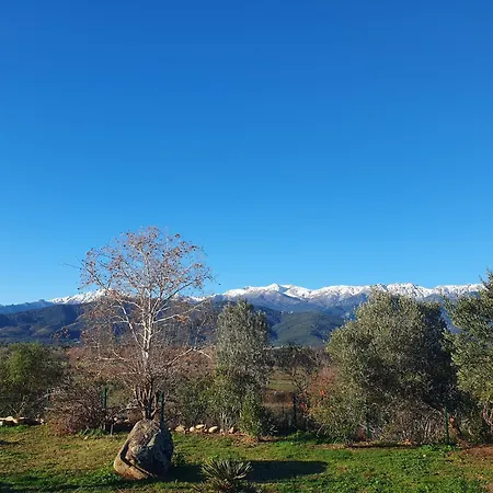 Casa Di Nonna Ghisonaccia